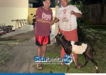 Wujud Kepedulian PT Resort Pantai Belitung (RPB) The Serai Hotel Tanjung Binga Salurkan Bantuan ke Organisasi Wartawan dan Masyarakat Sekitar